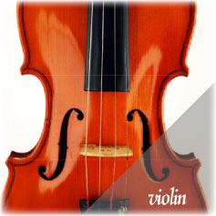 violin photo